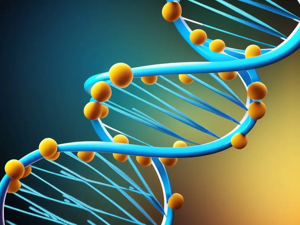 Proceso de replicación de ADN: Importancia ácidos nucleicos química vida